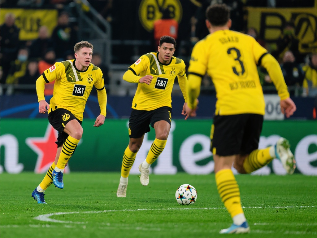 Fi和舒適 Fi和舒適